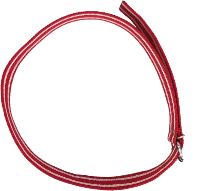 obroza-identyfikacyjna-135-cm-niebieska-kerbl-szerokosc-40-mm