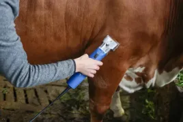 maszynka-do-strzyzenia-koni-i-bydla-econom-ii-niebieski-aesculap