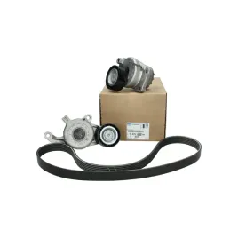 oe-zestaw-pasek-klinowy-napinacz-citroen-peugeot-ds-2-0-blue-hdi