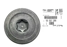 zaslepka-korek-kola-zmiennych-faz-rozrzadu-opel-1-6-1-8-16v-55557288-oe