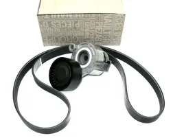 napinacz-pasek-alternatora-1-5-dci-megane-ii