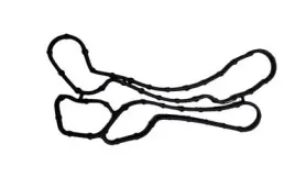 uszczelka-obudowa-filtr-oleju-chlodnica-1-6-turbo-vectra-c-signum-oryg