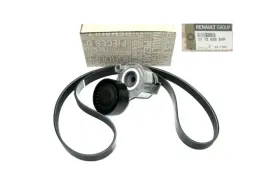napinacz-pasek-alternatora-1-4-1-6-scenic-iii-org
