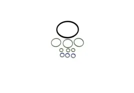 oringi-pompy-wtryskowej-2-0-dci-scenic-iii-bosch