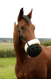 kaganiec-dla-konia-teddy-fleece-czarny-roz-pony-covalliero