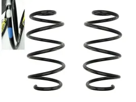 sprezyny-zawieszenia-przod-clio-iii-modus-oryg