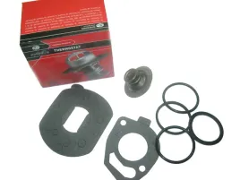 termostat-renault-laguna-megane-scenic-1-9d-1-9dti