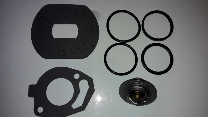 termostat-renault-laguna-megane-scenic-1-9d-1-9dti-typ-samochodu-samochody-osobowe-samochody-dostawcze-autobusy