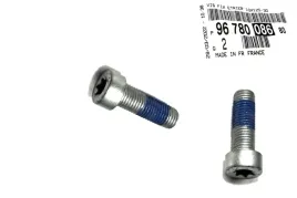sruby-torx-m10x125-jarzma-zacisku-peugeot-citroen