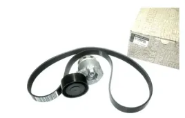 napinacz-pasek-alternatora-megane-ii-1-6-16v-oryg