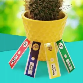 preparaty-do-mikroskopow-dla-dzieci-zestaw-48-szt