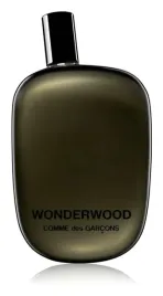 comme-des-garcons-wonderwood-edp-100-ml