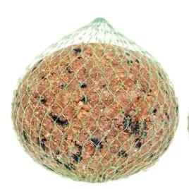 kolba-zbozowa-brapta-03-kg-ziarna-pyzy-dla-ptakow-na-zime