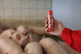 kredka-do-znakowania-zwierzat-topmarker-60-g-czerwona-kerbl