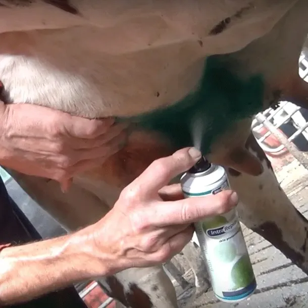 repiderma-spray-ochronny-250-ml-stan-nowy-waga-z-opakowaniem-0-225-kg