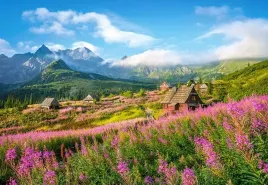 puzzle-1000-ukladanka-krajobraz-widok-gory-tatry-hala-gasienicowa-9-castor