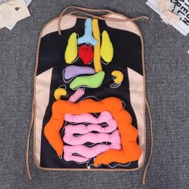 lalka-do-nauki-anatomii-zabawka-edukacyjna-ludzkiego-fizjologiczne