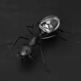 zasilana-energia-sloneczna-mrowka-trick-zabawka