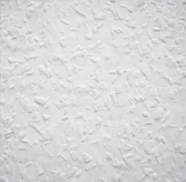 tapeta-do-malowania-rauhfaser-triplex-25mb