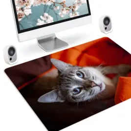 podkladka-ochrona-na-biurko-50x35-animals-wzory