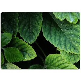 podkladka-mata-ochronna-na-biurko-60x40-natura-wz