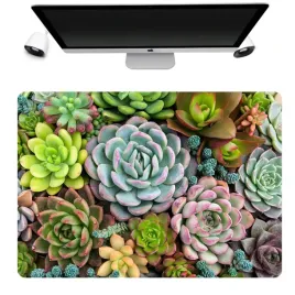 podkladka-mata-ochronna-biurko-50x35-rosliny-wzory
