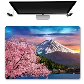 podkladka-mata-ochronna-biurko-50x35-japonia-wzory