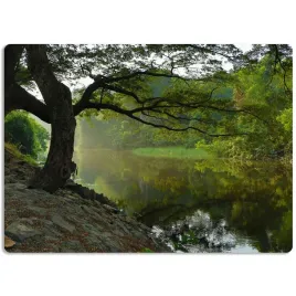 podkladka-60x40-mata-ochronna-na-biurko-natura-wz