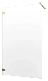 kabina-essenza-pro-gold-walk-in-120x200-radaway
