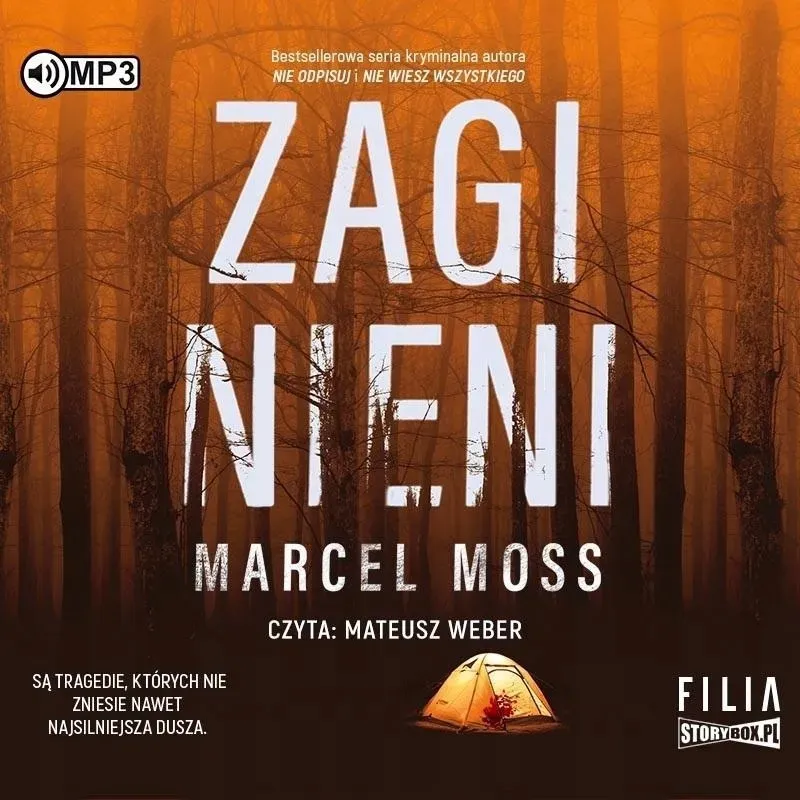 zaginieni-audiobook-marcel-moss