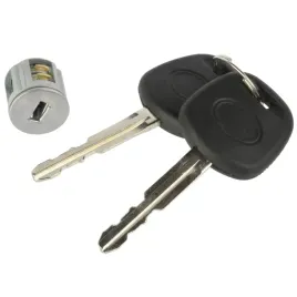 wkladka-zamka-klamki-schowka-do-toyota-hilux-05-
