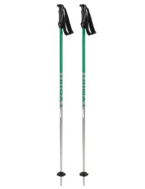 kije-narciarskie-volkl-rentastick-green-135