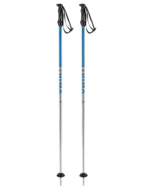 kije-narciarskie-volkl-rentastick-blue-120