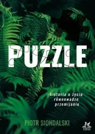 puzzle-piotr-siondalski