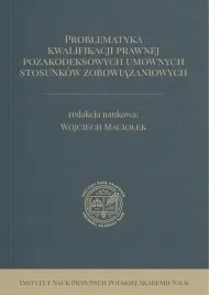 problematyka-kwalifikacji-prawnej