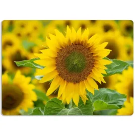 mata-ochronna-podkladka-na-meble-40x60cm-matka-natura-kwiaty-flowers-wzory