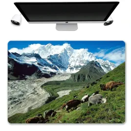 podkladka-ochronna-biurko-50x35-gory-chiny-wzory