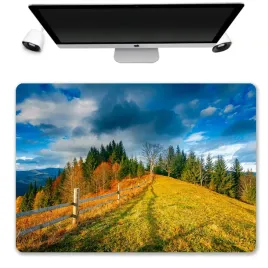 podkladka-mata-ochronna-biurko-50x35-pory-roku-wzo