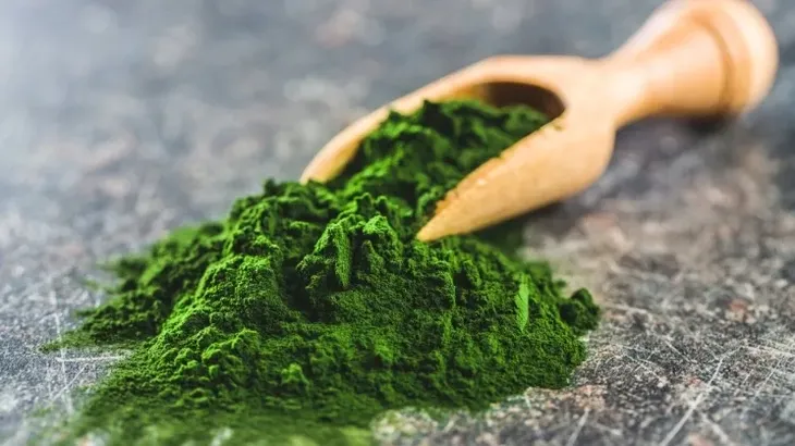 chlorella-w-tabletkach-bioalgi-naturalna-alga-250-tabletek-rodzaj-chlorella
