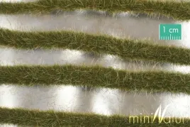 mininatur-dwukolorowe-paski-wczesnojesiennej-trawy-252-cm