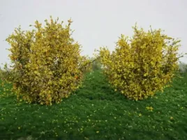 mininatur-poznojesienne-krzewy-5-cm-2-szt