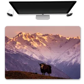 podkladka-mata-ochronna-biurko-50x35-nepal-wzory