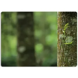 mata-ochronna-podkladka-60x40-na-biurko-natura-wz
