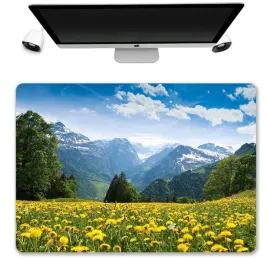 podkladka-mata-ochronna-biurko-50x35-laka-alpy-wzo