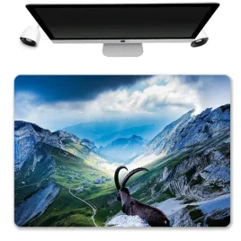 podkladka-mata-ochronna-biurko-50x35-przyroda-wzo