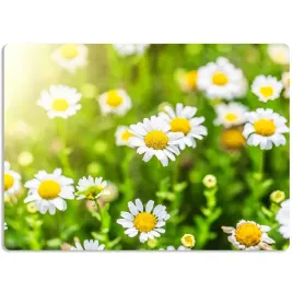 mata-ochronna-podkladka-na-biurko-40x60cm-matka-natura-kwiaty-flowers-wzory