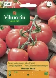 pomidor-gruntowy-karlowy-berner-rose-malinowy-wczesny-slodki-vilmorin-02g