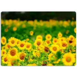 podkladka-mata-ochronna-na-biurko-40x60-cm-natura-kwiaty-flowers-wzory