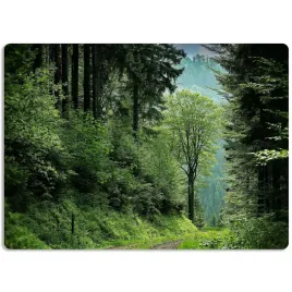 mata-ochronna-podkladka-60x40-na-biurko-natura-wz