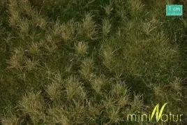 mininatur-wczesnojesienna-zyzna-laka-30x50-cm